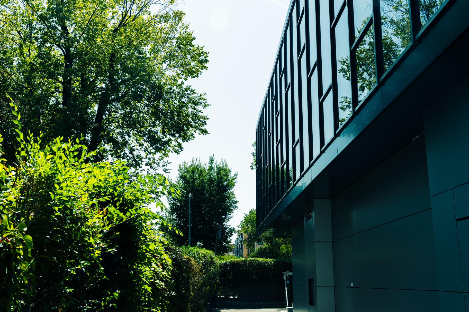 Approach view — façade reading against landscape